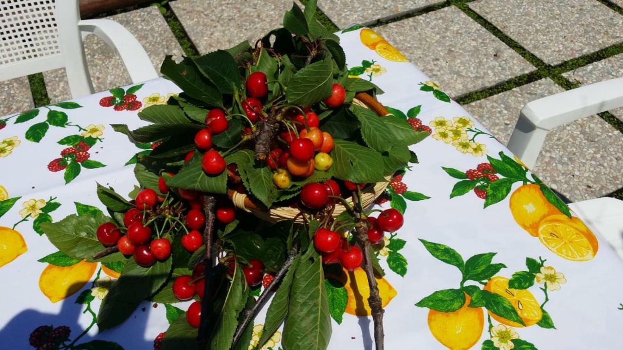 B&B Casa Vacanza Cioffi Vico Equense Dış mekan fotoğraf
