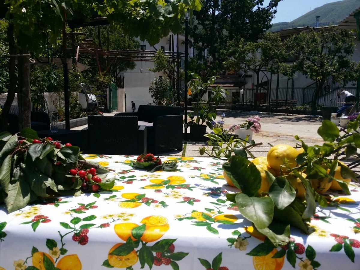 B&B Casa Vacanza Cioffi Vico Equense Dış mekan fotoğraf