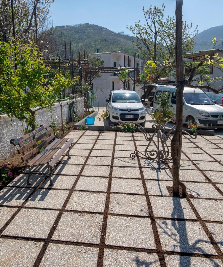 B&B Casa Vacanza Cioffi Vico Equense Dış mekan fotoğraf